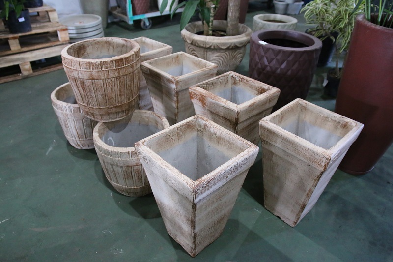 Plantas